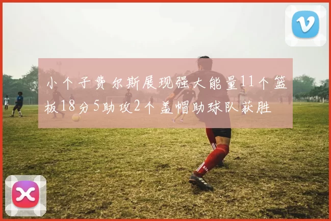 小个子费尔斯展现强大能量11个篮板18分5助攻2个盖帽助球队获胜