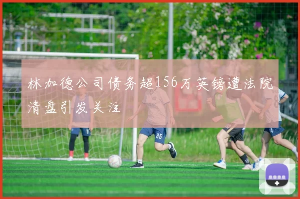 林加德公司债务超156万英镑遭法院清盘引发关注