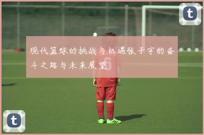 现代篮球的挑战与机遇张子宇的奋斗之路与未来展望